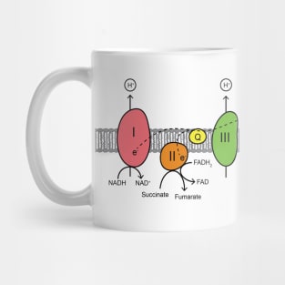 Electron Transport Chain Mug